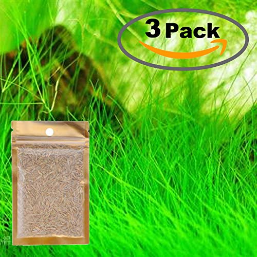 3 Pack Water Plant Seeds Water Grass Seed Tall Seeds Easy Aquatic Live Grow Plants Fish Tank Decoration Landscape Ornament Aquarium Decor Foreground (Big)