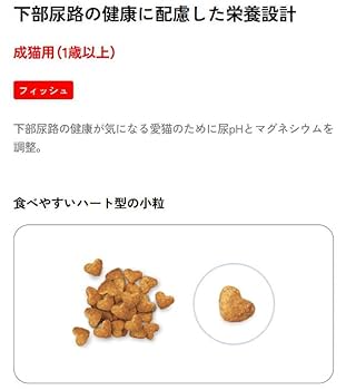 ビューティープロセット ビューティープロ キャット 1歳から 猫下部尿路の健康維持 低