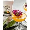 Real Infused Exotics Tropical Fruit Flavoring Syrup Variety - 2x Coco, Mango, Passion Fruit, Pina, Kiwi (Pack of 6, 16.9 FL OZ Bottles)