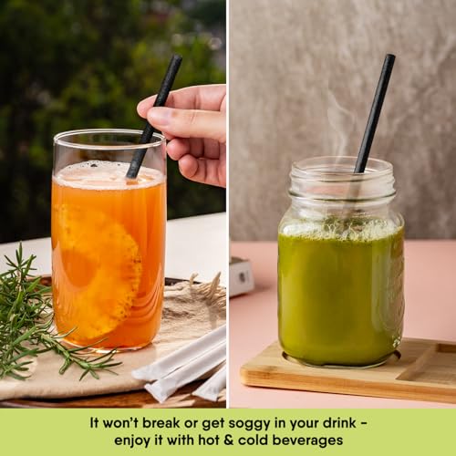 Image of The Veggie Straws - 300 PCS of 8.25 Inches Individually Wrapped Black Biodegradable Straws - Made of Vegetable Fibers, Best Environment Friendly Drinking Straws for Hot and Cold Beverages