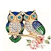 ANDRESLAD Broche Avec Cristaux Forme De Hibou Accessoire Élégant Pour Vêtements Robes Et Tenues De Fête Et #2