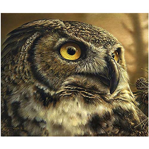 Bimkole 5d Diamond Painting Kit Bricolaje Arte Búho, Árbol Animal Pintura Diamantes...