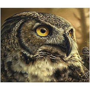 Bimkole 5D Diamond Painting Kits Owl Tree, DIY Diamant Schilderij Kit Animal Full Ronde Boor Crystal Strass Kruissteek…
