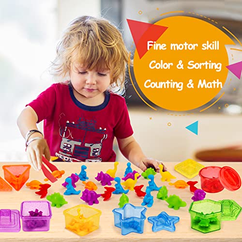 Tsomtto 2188-28 Counting Dinosaurs Bear Toy For Kid Occupational Therapy Tool Preschool Learning Math Manipulative Counter Color Sorting Matching Game Tweezers Fine Motor Toddler Boy Girl 3 4 5 Birthday Easter Gift thumb #2