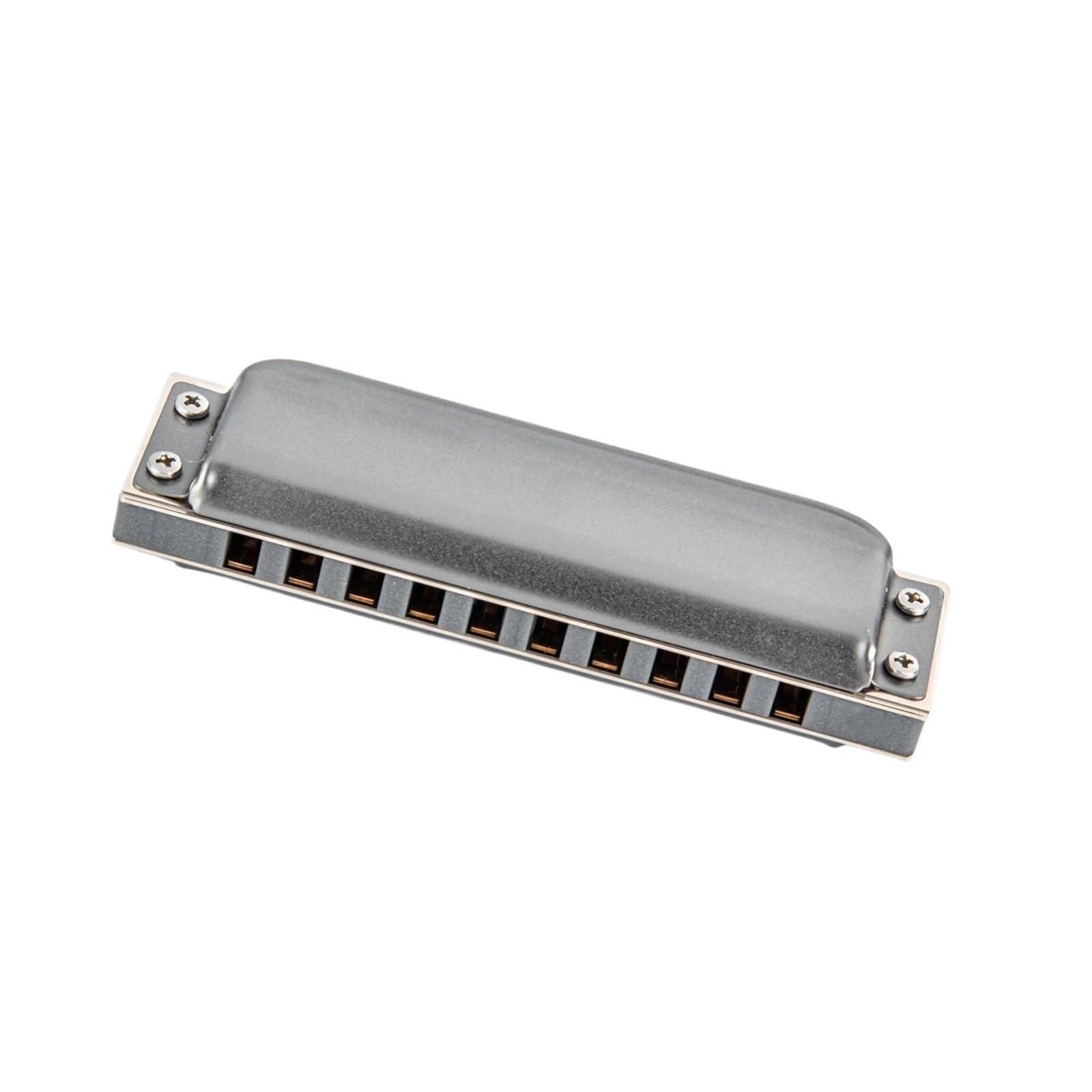 Armonica Strumento Professionale Per Armonica Diatonica A Dieci Fori | Armonica(C key)