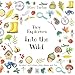 Tiny Explorers: Into the Wild: Outdoor activities, play ideas and fun