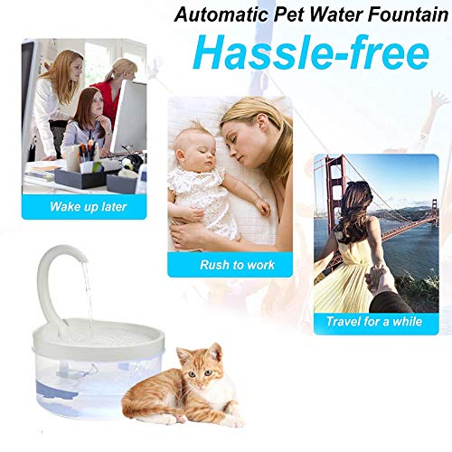 Fuente de agua eléctrica para gato 2.5L transparente miniatura 6