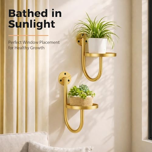 SUNCKET Wall Plant Holders for Indoor Plants, 3 Pack Metal Wall Mounted Plant Shelves，Modern Window Plant Hanger, Space Saving Hanging Planters for Living Room Bedroom Kitchen Bathroom Office Decor, Golden — view 4