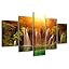 CUADRO EN LIENZO ´ 160 x 90 cm Nr. 1166 el mapamundi marca Visario EUR 34,90 - DE