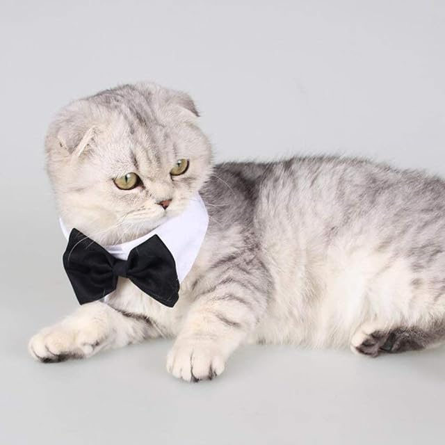 Foto 2 de 8 de DULEE Pajarita ajustable para mascotas, disfraz formal para perro y gato, collar de corbata para fiestas