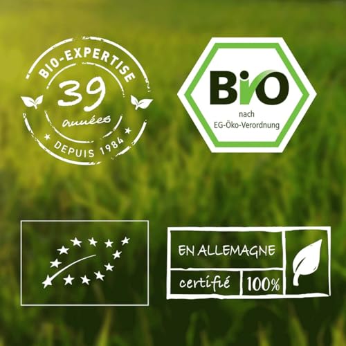 Poudre de Brahmi bio à intégrer dans vos rituels bien-être - 4