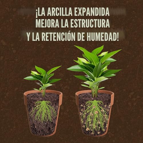 Miniatura 6 de Lerava Arcilla Expandida 3l - Arlita Para Plantas - Piedra Volcánica Decorativa Y Sustrato De Drenaje - Ideal Para Jardinería, Cultivo Sostenible, Interior Y Exterior