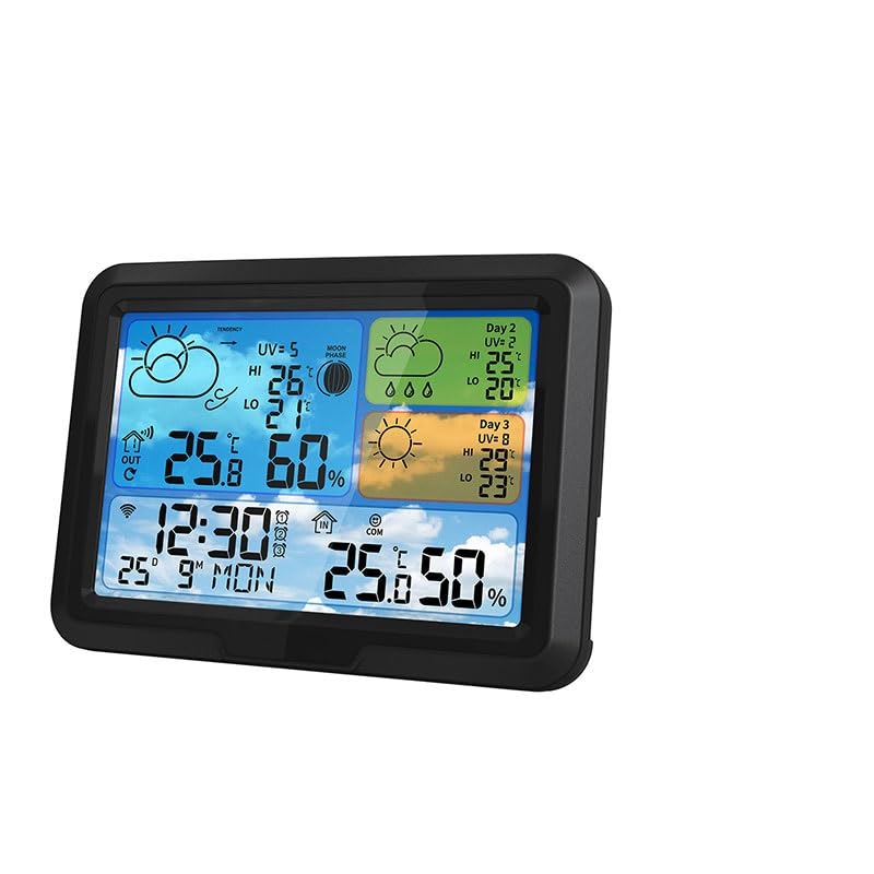 Thermomètre hygromètre pour salon et jardin idéal pour plantes et bébé