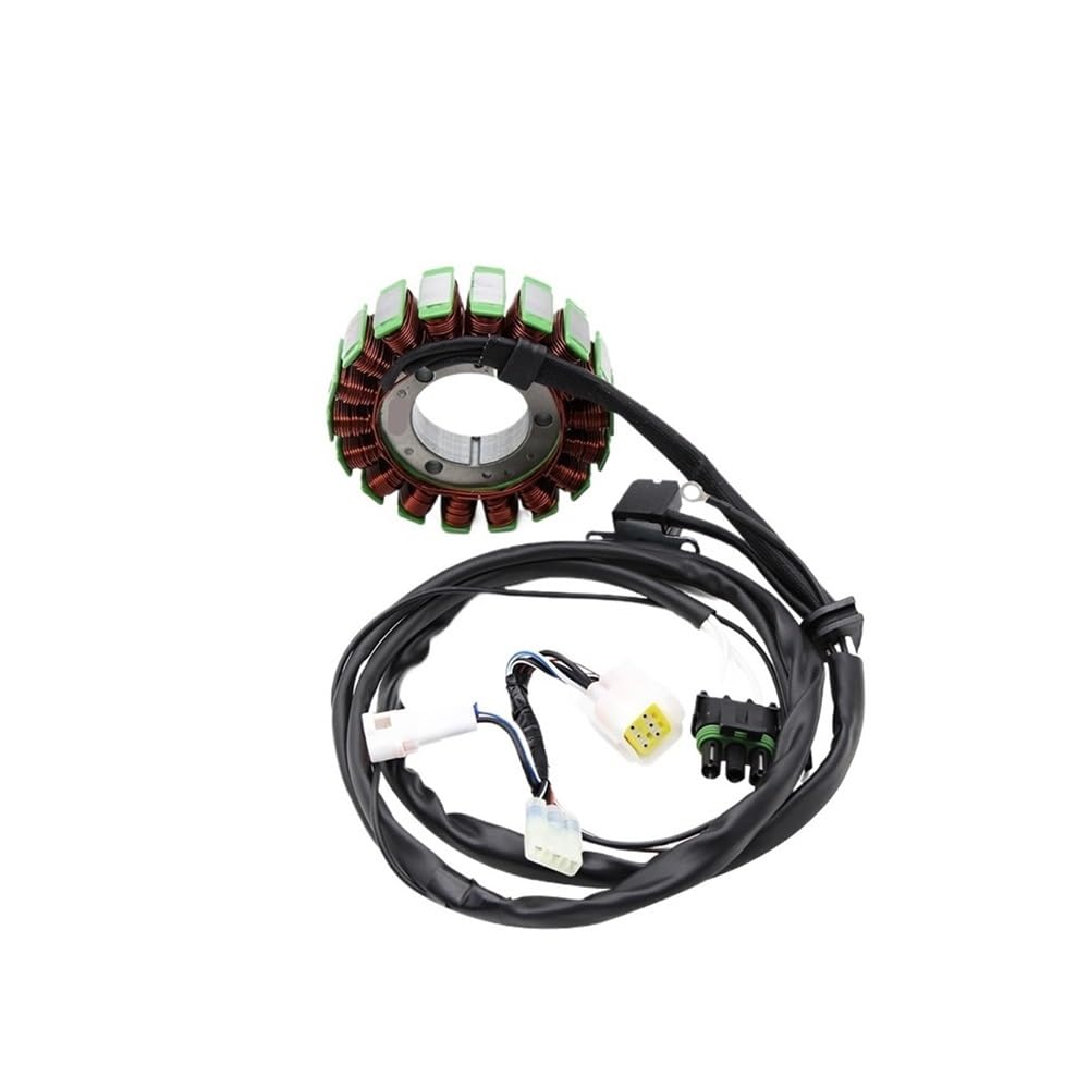 Bobine de stator de magnéto haute résistance pour moto S300 H300 P3089853