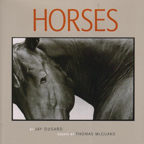 Horses      Hardcover – August 24, 2005