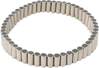 CZMAG MAGNETS Strong Neodymium Cylinder Magnets,Small Rod Rare Earth Magnets,50Pcs Nickel Plated Magnets for Fridge,Office,School,Magnetic Weighted Bracelet for Men Women,Magnetic Therapy Jewelry