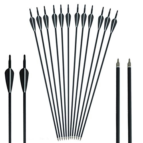 Handbaige 12 Pack Mix Carbon Archery 30/31 Inch Hunting Arrows 100 Grain Points For Targeting Compound/Recurve/Long Bow #TOP8