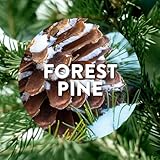 Air Wick Aerosol-Free Automatic Air Freshener Spray, Frosted Sandalwood & Snowflakes, Refills, 24 x 7 Active Fresh Odour Neutraliser, Lasts Up to 70 Days - Image 2