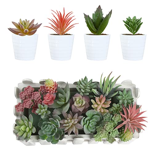 Ccinee 18Pcs Artificial Succulent Plants,Mini Assorted Flocking Green Fake Unpotted Echeveria Realistic Agave Floral Faux Lotus For Landscape Garden Arrangement Office And Home Decor #TOP5