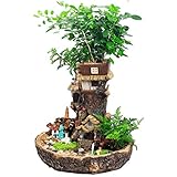 maceteros resina baratos Tamaño grande: longitud * altura 29 * 26,8 cm, el espacio máximo para plantar es de 26 cm, una decoración del hogar excelente e interesante.