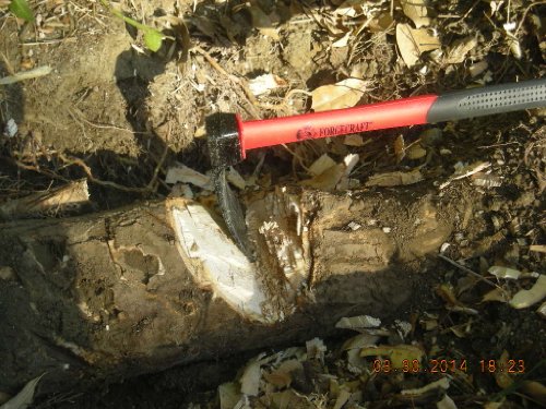 Forged Adze With Fiberglass Handle #TOP5