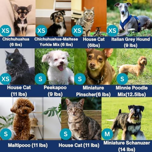 Vista 4 de Arnés para perros pequeños Arnés para perros medianos sin tirones Arnés para perro para perros pequeños Chaleco para perro Arnés de malla