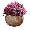 Benxin Mini Simulatie Pant Potted Fresh Gras Bal voor Badkamer Thuis Kantoor Kamer Huis Decoraties