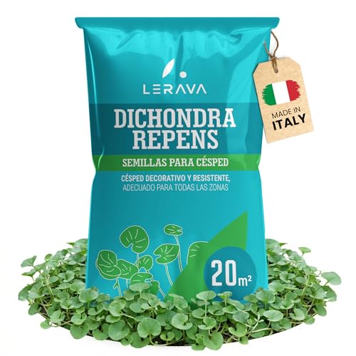 LERAVA® Dichondra repens semillas [No es necesario cortar] - 20m² - Resistencia a la sequía - Semillas cesped de dichondra ideales para zonas sombreadas y soleadas - Semillas de cesped - 200g