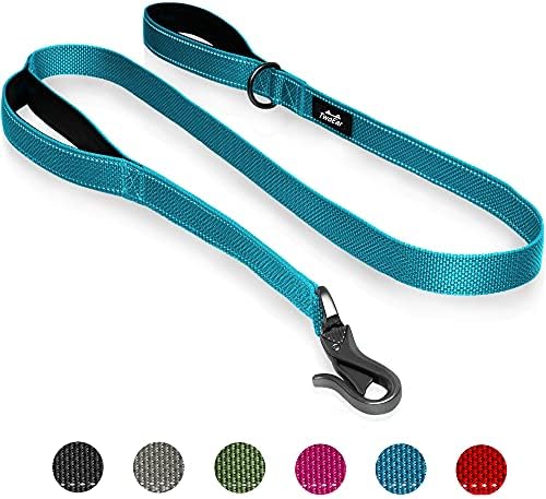 TwoEar 4FT 1IN Strong Blue Dog Leash with 2 Padded Handles, Traffic Handle Extra Control, Comfortable Soft Dual Handle, Auto Lock Hook, Reflective Walking Lead for Small Medium and Large Dogs