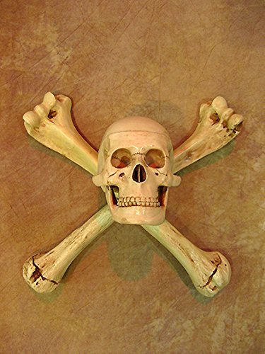 Skull & Humerus Bone Wall Scone with No Candle