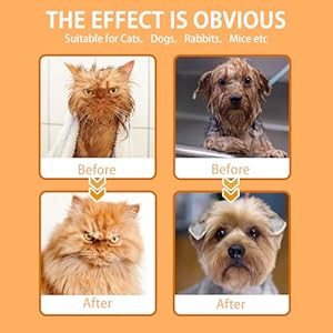 Pet-wipes-for-dogs-and-cats-cat-wipes-dog-wipes-cleaning-deodorizing-hypoallergenic-cat-wipes-cleaning-fur-and-butt-pet-grooming-gloves-for-DogsCat-Cleaning-Wipes-for-Daily-Care-and-Traveling-6-pcs - Cucciolini Doodles   Pet-wipes-for-dogs-and-cats-cat-wipes-dog-wipes-cleaning-deodorizing-hypoallergenic-cat-wipes-cleaning-fur-and-butt-pet-grooming-gloves-for-DogsCat-Cleaning-Wipes-for-Daily-Care-and-Traveling-6-pcs