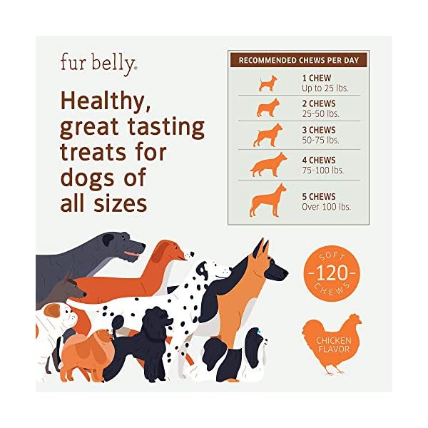 Glucosamine-for-Dogs-Hip-and-Joint-Supplement-Dogs-Glucosamine-Chondroitin-for-Dogs-with-MSM-Hemp-Turmeric-Omega-3-Dog-Hip-and-Joint-Supplement-Dog-Pain-Relief-120-Soft-Dog-Joint-Chews Glucosamine-for-Dogs-Hip-and-Joint-Supplement-Dogs-Glucosamine-Chondroitin-for-Dogs-with-MSM-Hemp-Turmeric-Omega-3-Dog-Hip-and-Joint-Supplement-Dog-Pain-Relief-120-Soft-Dog-Joint-Chews