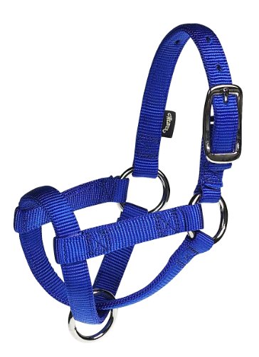 Cabezal Weaver Leather para llama ajustable accesorio de nylon 2