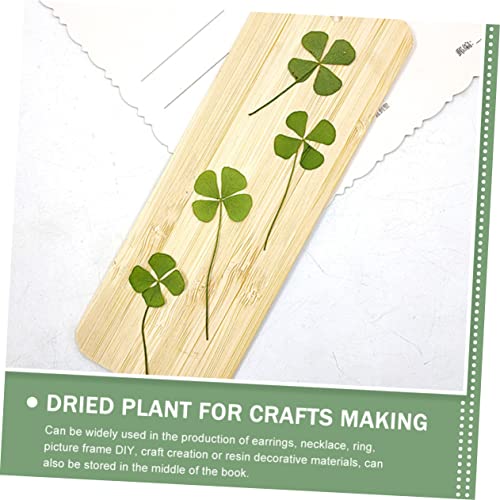 Zerodeko 24pcs Trébol de Cuatro Hojas Seco Natural Presionado miniatura 6