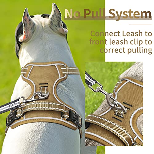 HEELE Dog Harness - Image 4