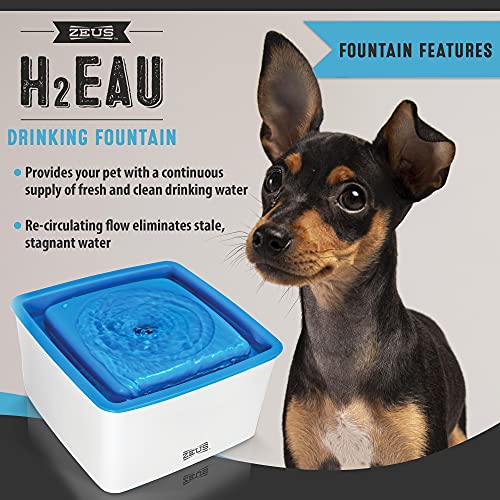 Dispensador de agua elevado para perros ZEUS Mini miniatura 2
