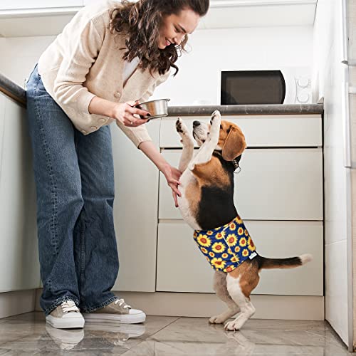 Pet Soft Dog Belly Bands - Washable Male Dog Diapers Belly Band For Male Dogs, Reusable Male Dog Belly Wraps 3Pack For Doggy Puppy(Flower, Xs) #TOP6