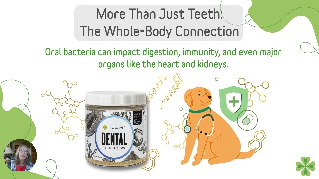 Amazon.com : InClover Dog and Cat Dental Powder for Teeth