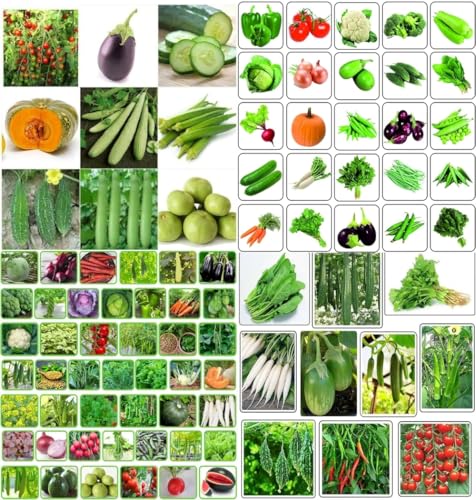 Summer vegetable seeds combo pack beez Exotic Hybrid vegetable se...