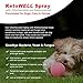 KetoWELL Chlorhexidine & Ketoconazole Antiseptic Medicated Spray for Dogs & Cats - Hot Spot Treatment, Ringworm, Yeast, Fungal Infections, Acne - Aloe & Vitamin E - 8 oz