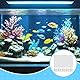 F Fityle Aquarium Siebnetz, Anti Sprungnetz Aquarium, Transparente Aquarium Deckel Ersatz, Aquarium Screen Net, Aquarium Bildschirm Top Abdeckung, Anti Jumping Mesh für Aquarium Unten Box, 80x106cm