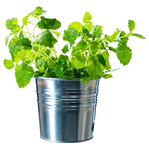 Ikea Socker, Galvanized Steel Flower Plant Pot Set of 6