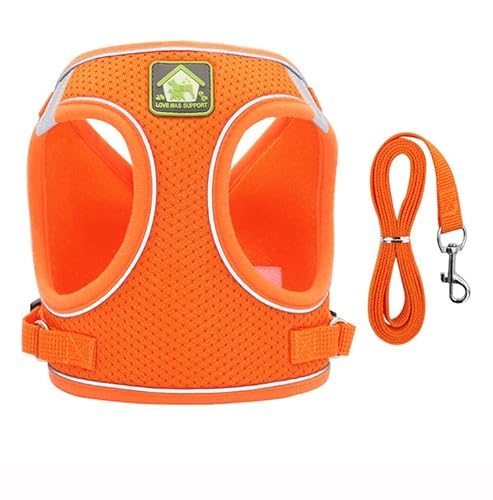 [Maidisly]˃e[vt pn[lXZbg ʋCbV ^ VΉ }WbNe[vȒPE t[݌v ԎU y  ߉\ XgXt[ (S)