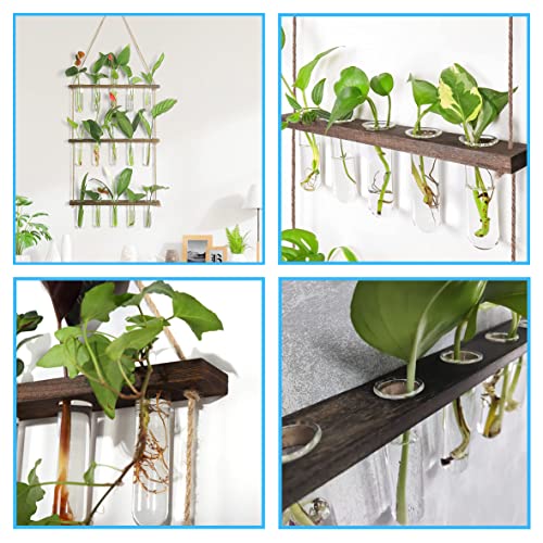 Inknote Plant Propagation Tubes 3 Tiered Wall Hanging Plant Terrarium With Wooden Stand Flower Vase Glass Planter For Hydroponic Plant Cutting Indoor Office Home Garden Decor Plant Lover Gift #TOP4