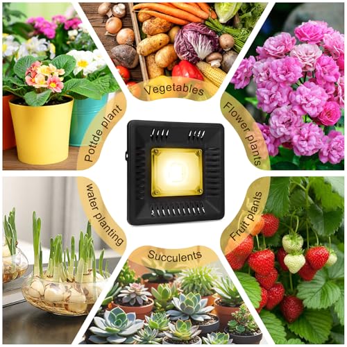 Image of Waterproof 100W LED Grow Light Full Spectrum, CFGROW 3500K White COB LED Grow Light, Natural Heat Dissipation Without Noise, Suitable for Plants All Growing Stage Indoor or Outdoor.
