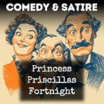 Cover of Princess Priscillas Fortnight