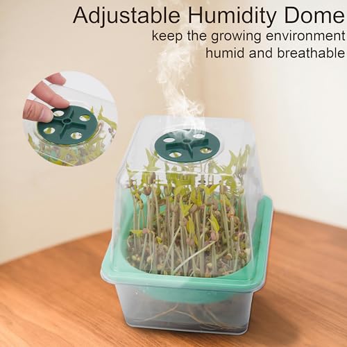 6 Pcs Microgreen Growing Tray with Lid, Sprouting Tray with Humidity Dome, Reusable BPA Free Seed Sprouter Kit for Growing Broccoli, Bean Sprouts, Cat Grass, Wheat Grass & More- Clear Base by LUVCOSY - Image 5