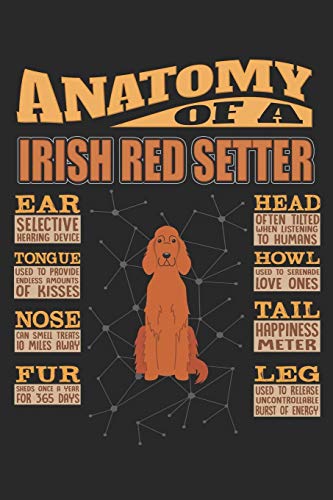 Télécharger Anatomy Of A Irish Red Setter: Anatomy Of A Irish Red Setter Notebook Journal 6x9 Personalized Custo livre En ligne