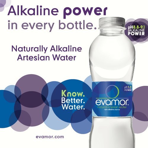 image for Evamor Natural Alkaline Artesian Water-20 Fl Oz (Pack of 6) -Alkaline 