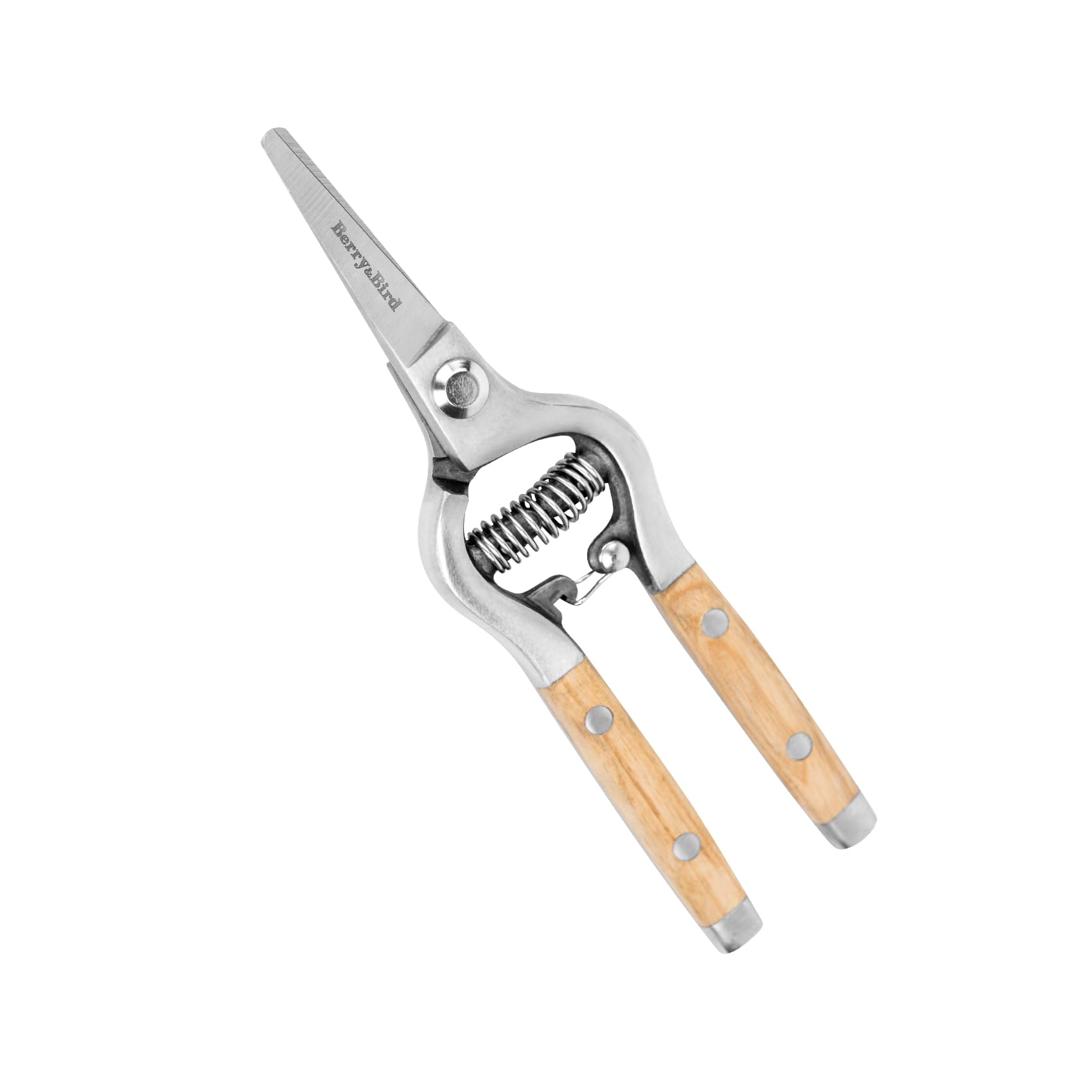Berry&Bird 8'' Stainless Steel Straight Pruning Shears, Pointed Blade Hand Pruner with High Rebound Spring & Safety Lock, Garden Secateurs Clippers for Gardening Trimming Cutting Bonsai